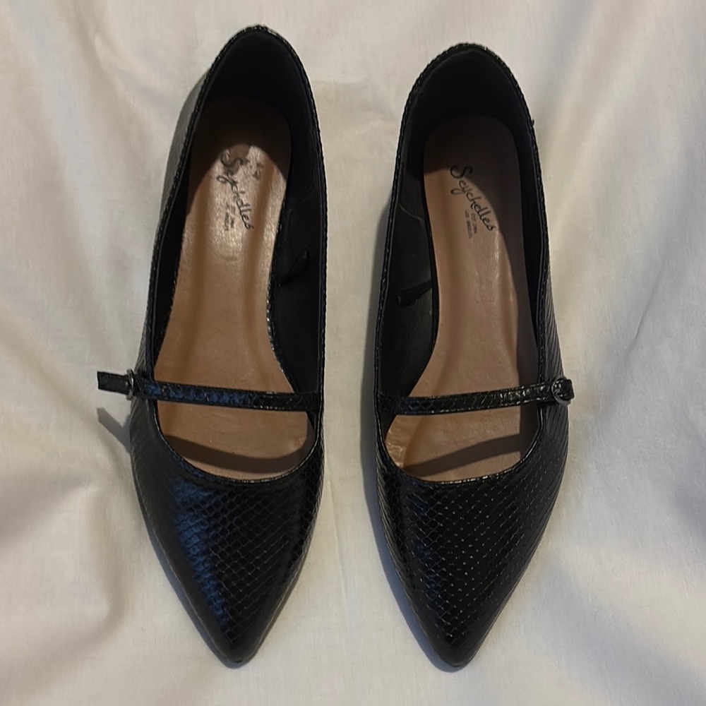 Seychelles black pointed toe Mary Jane ballet flat 8